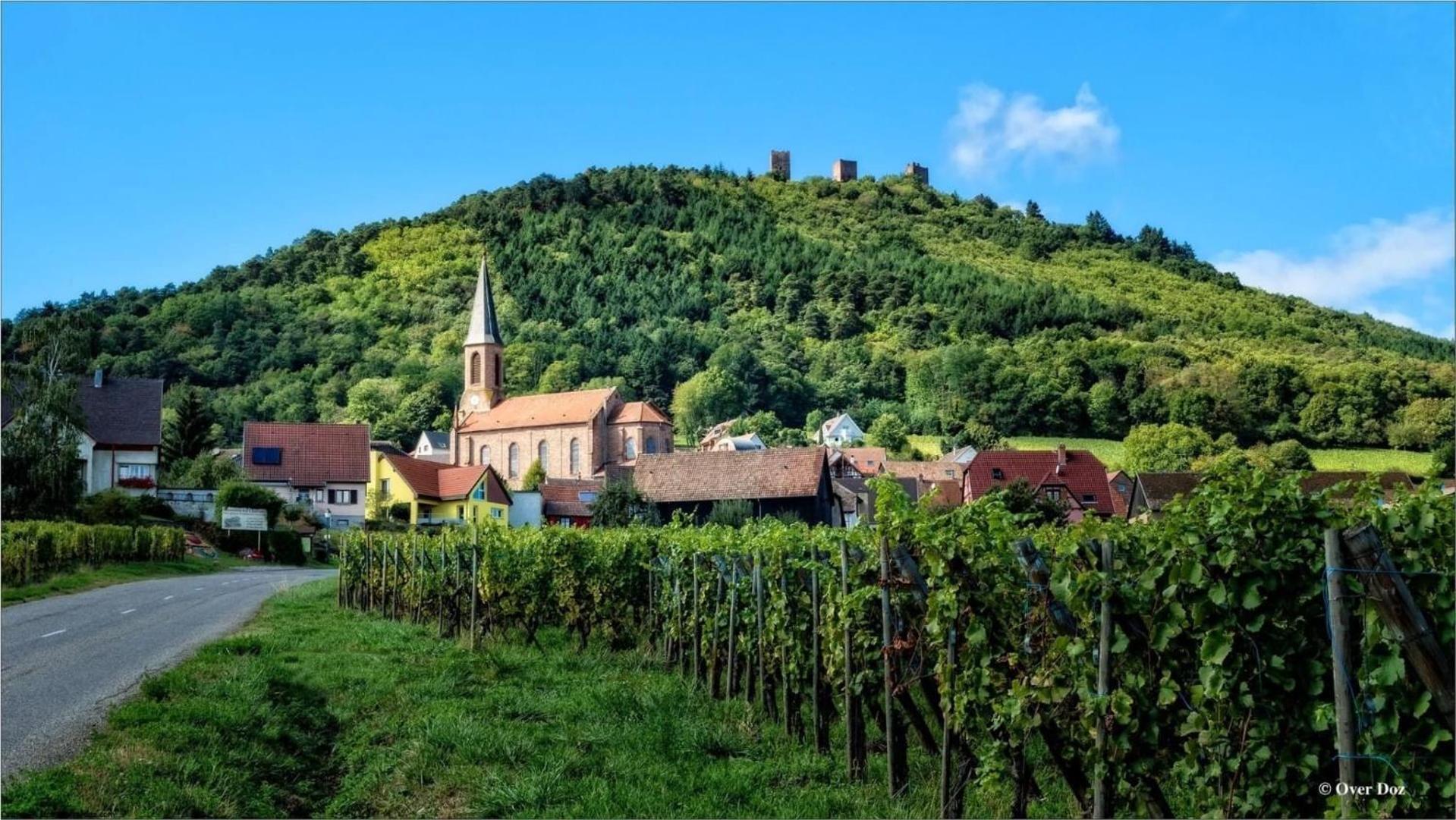 Charmant Appartement Cosy Porte De Colmar Sainte-Croix-en-Plaine المظهر الخارجي الصورة